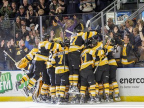 Members of the Kingston Frontenacs celebrate after winning their first-round playoff series versus the Hamilton Bulldogs on Tuesday night at the Rogers K-Rock Centre. Round 2 starts tonight in Peterborough. (Julia McKay/The Whig-Standard)