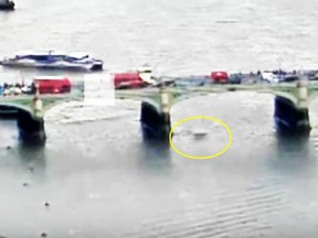 Video shows a woman plunging into the River Thames.