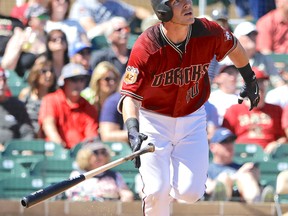 Chris Herrmann is the Diamondbacks' best hitting catcher. But you'd never know it from the low number of at-bats he has received so far this season. (Darron Cummings, AP)