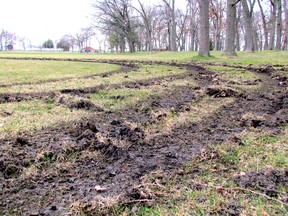 Vehicle tracks vandals left in the field at Sarnia's Canatara Park are shown in April. Paul Morden/Sarnia Observer/Postmedia Network