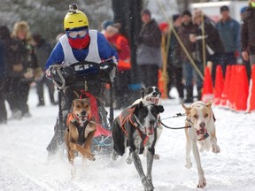 Sudbury's Tegan Legge served as project manager for the 2017 Winter Sleddog World Championships that were hosted in Haliburton earlier this winter. Supplied photo