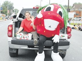 Some of the two tonnes of fresh berries at the LaSalle Strawberry Festival.