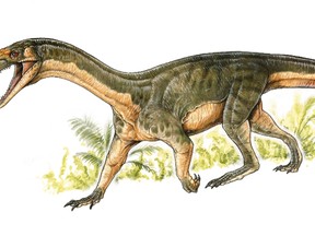 This artist's rendering provided by Gabriel Lio in April 2017 shows the Teleocrater rhadinus, a four-legged, meat-eating reptile and a close relative of dinosaurs. Researchers who found its fossils in Tanzania in 2015 describe it in a paper released Wednesday, April 12, 2017 by the journal Nature. (Gabriel Lio/Museo Argentino de Ciencias Naturales, Buenos Aires via AP)