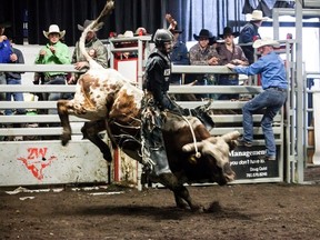 Garrett Green of Meeting Creek, Alta. rides a 82-point ride on I Work Out, during the first round of the Marwayne Indoor PBR event on Saturday, April 8. Green took home the top buckle and spot with 166.5 points. Taylor Hermiston/Vermilion Standard/Postmedia Network.