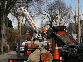 The City of Toronto are installing 45-50 ft. Hydro poles along side residential streets to replace the old concrete poles in Leslieville on Thursday April 13, 2017. (Dave Abel/Toronto Sun)