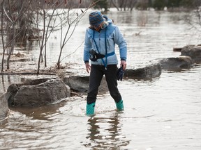 High water levels are expected this week.