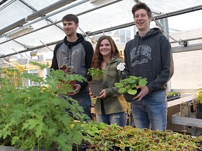 Glendale horticultural students Adam Horvath, Mackenzie Lindie and Brock Hussey. (CHRIS ABBOTT/TILLSONBURG NEWS)