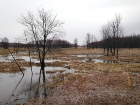 City council voted against an agreement to purchase about 25 acres of open space land from a group of landowners in Kingston on Tuesday, (Elliot Ferguson/The Whig-Standard)