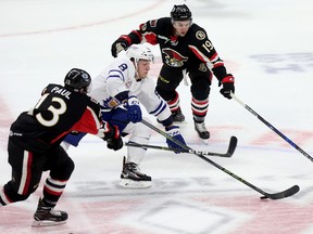 Travis Dermott of the Toronto Marlies slides through Nick Paul and Jason Akeson of the Binghamton Senators during an AHL game at the Canadian Tire Centre in Ottawa on March 24, 2017. (Wayne Cuddington/Postmedia)