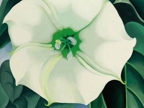 The AGO is the only stop in North America for the Georgia O'Keefe retrospective. Jimson Weed/White Flower No. 1 (1932). Sold for $44,405,000 at Sotheby’s. SOTHEBY'S