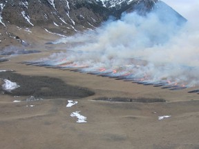 Parks Canada plans to burn 2,200 hectares in the Eskerine Complex Prescribed Fire Area on April 20. | Contributed photo/Parks Canada