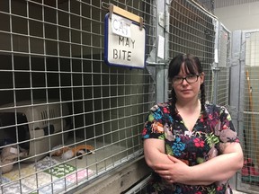 City Animal Services shelter attendant Laura Shackelton stands in front of Alice and Tuxy’s cages, but the two unadoptable felines are nowhere to be seen. The cats aren’t well-socialized and are not cut out for traditional homes, but that doesn’t mean they’ll live out their days in a cage. The agency is looking for rural residents with warm barns and big hearts take in the not-so mild mannered cats it encounters each year. The spayed or neutered cats just need a safe and secure place to do as they please, with minimal supervision from their caretakers. (Jennifer Bieman/Times-Journal)