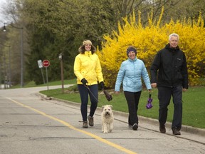 Lisa Engels walks with her parents Jane and Guy Engels and the family pooch Leo past some flowering forsythias in Springbank Park on Friday. For columnist Larry Cornies, Springbank is timeless. (MIKE HENSEN, The London Free Press)