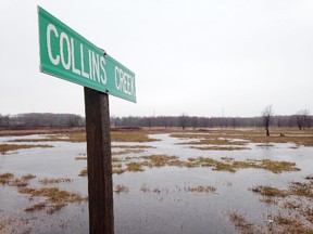 Kingston bought approximately 25 acres of land along Collins Creek as part of a legal settlement. (Elliot Ferguson/The Whig-Standard)