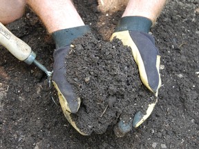 With the approach of composting week, from May 7-13, now is a perfect time for citizens to reawaken their commitment to the planet. (Photo supplied)