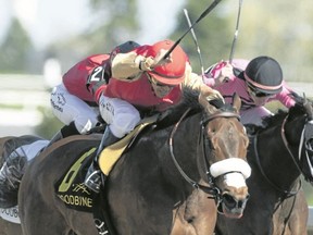 Jockey Eurico da Silva rides to yet another win, aboard Southern Ring, to take the Whimsical Stakes at Woodbine Racetrack on Sunday, April 23, 2017. (Michael Burns photo)