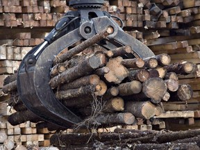 Workers pile logs at a softwood lumber sawmill in Saguenay, Que., on Nov. 14, 2008. (Jacques Boissinot/The Canadian Press/Files)