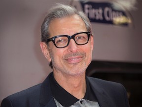 In this June 6, 2016, file photo, actor Jeff Goldblum poses for photographers at the photo call for the film Independence Day Resurgence at Euston Station in London. The Hollywood Reporter said on April 25,
2017 that Goldblum would return to the Jurassic Park franchise for the upcoming sequel to 2015's "Jurassic World." (Photo by Joel Ryan/Invision/AP, File)