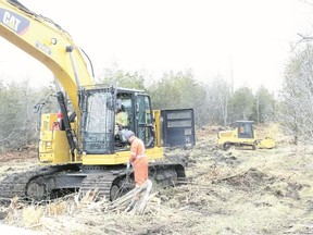 Land clearing at potential turbine site.