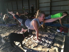 Danielle Morgan strikes a sunbird yoga pose with Squeaker the kid close by. Squeaker and other curious baby goats made the rounds Wednesday at Full Circle Ranch's first sunset goat yoga session. (Jennifer Bieman/Times-Journal)