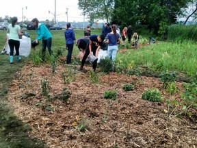 Laurentian students put in a rain garden with the Ramsey Lake Stewardship Committee to help keep the lake healthy. What if … residents planted rain gardens throughout urban watersheds? What’s your big idea for making Greater Sudbury greener?”