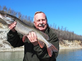 Neil with his best-of-the-year North Saskatchewan River pike