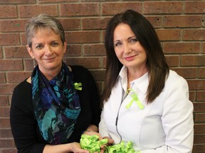 Lisa Dennys and Roanne Martin hold up Lyme Disease Awareness Month ribbons they're sending to Ottawa with Sarnia-Lambton MP Marilyn Gladu. The Sarnia-area women are advocating for better testing and treatment in Canada for sufferers of the complex infectious disease. (Barbara Simpson/Sarnia Observer/Postmedia Network)