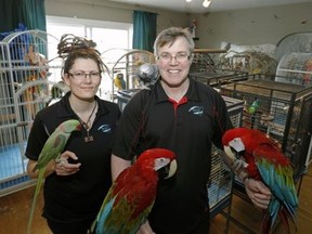 Janine Couture (left) and Ian Sprague operate Meika's Safehouse — a bird shelter — out of their home in Sherwood Park.