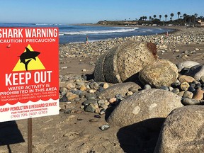In this Sunday, April 30, 2017 photo, a sign warns beachgoers at San Onofre State Beach after a woman was attacked by a shark in the area Saturday, along the Camp Pendleton Marine base in San Diego County, Calif. The beach remained closed Sunday. (Laylan Connelly/The Orange County Register via AP)