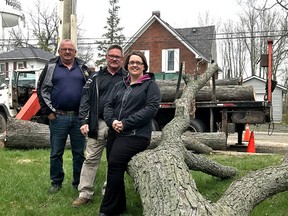 Ron Vankoughnet, Town of Greater Napanee Public Works manager, Dan MacDonald, manager of parks and facilities, and Tara Bruce, the town’s administrative assistant of infrastructure services, stand with one of two trees cut down in the town on Tuesday after they were recommended for removal based on their age and condition. The trees will be used in children's play structures. (Jan Murphy/The Whig-Standard)