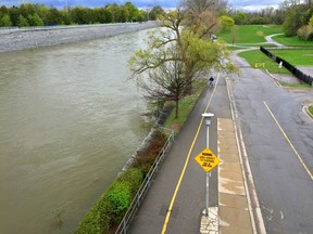 The Thames River flows high at London?s Harris Park, prompting a call for caution. (DEREK RUTTAN, The London Free Press)