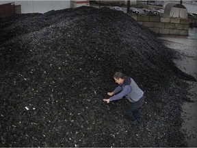 Grant McIntosh, president of Western Rubber Products, climbs a mountain of crushed tire bits on Annacis Island. (Bill Keay Photo/Vancouver Sun)
