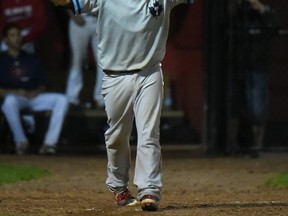 Toronto Maple Leafs catcher Justin Marra celebrating after hitting a two-run home run in the eighth inning to tie the game 2-2 with Brantford Red Sox on Aug. 17, 2016. (Dan Hamilton/Vantage Point Studios)