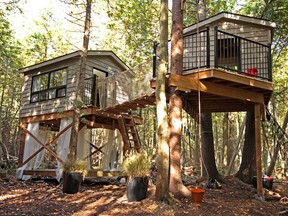 The focus on HGTV?s Backyard Builds is on building structures, such as the impressive tree-house village constructed on a property where the owners had an acre of forest. The tree house, says co-host Brian McCourt, was designed as both a family cabin and place the parents could use for a romantic getaway. There?s a ?kids-only cabin? and activities like a zip line and climbing wall.