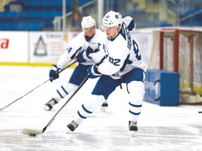 Swedish forward Carl Grundstrom signed an entry-level deal with the Leafs and could see action in the Marlies' series with Syracuse. (Jack Boland/Toronto Sun file)