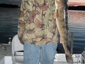 This 31-inch walleye was taken in Fisheries Management Zone 14 of the North Chanel by an elated John Kufskey on his very first walleye fishing trip. John Vance/For The Sudbury Star