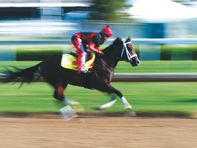 The Marc Casse-trained Classic Empire takes a run around the track in preparation for today’s Kentucky Derby at Churchill Downs. (Getty Images)