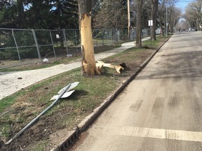 Damage left behind after a crash at 121 Street and 103 Avenue on Sunday, May 7, 2017, in Edmonton, Alta. According to police, a woman died after her Jeep went through the intersection and struck a Honda Civic travelling south on 121 Street before hitting two trees and coming to a stop 30 metres away from the intersection