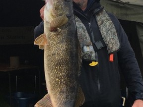Jeff Lupton, 47, raised in Kingston and now living in Consecon, weighed in a 11.48-pound walleye to win Trenton's Walleye World tournament. (Supplied photo)