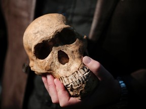 Paleoanthropologist and National Geographic Explorer-in-Residence, Professor Lee Rogers Berger holds a replica of the skull of "Neo" a new skeleton fossil findings of the Homo Naledi Hominin species at the cradle of Human Kind in Maropeng near Johannesburg on May, 9 2017 in South Africa. (GULSHAN KHAN/AFP/Getty Images)