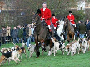 This is a Saturday, Dec. 26, 2009 file photo of members of the Albrighton Woodland Hunt club prepare for theirfox hunt at Hagley Hall in Hagley, England. (AP Photo/Simon Dawson, File)