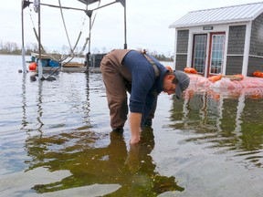 BRUCE BELL/THE INTELLIGENCER
Justin Lavender checks how much the water of West Lake has risen behind his Wellington home on Wednesday. Lavender estimates the level of the lake has risen close to six inches since Saturday.