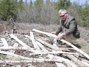 Ward 5 Coun. Robert Kirwan on Wednesday surveys garbage dumped in the woods near Frappier Street in Val Caron, Ont. on Wednesday. Gino Donato/Sudbury Star/Postmedia Network