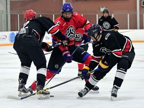 Sudbury Wolves prospect Brodie McDougall plays for GTHL Red against OMHA Black at the OHL Gold Cup showcase in Kitchener last weekend. Photo supplied.