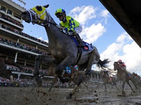 Always Dreaming, ridden by jockey John Velazquez, races down the front stretch on the way to victory at the 143rd Kentucky Derby last week. Getty Images