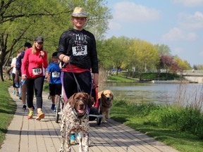 Stratford resident Georgia Neely, and her dog, Lucy, saunter alongside the Avon River during the Walk for Alzheimer's on Saturday, May 13, 2017 in Stratford. (Terry Bridge/Beacon Herald)