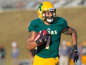 Tylor Henry of the Alberta Golden Bears led Alberta in receiving last year with 43 catches for 611 yards. Topher Seguin/Postmedia