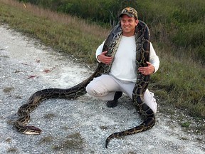 This Monday, May 15, 2017, photo provided by the South Florida Water Management District shows Florida Lt. Gov. Carlos Lopez Cantera with a python caught in the Everglades in Florida. (Bobby Hill/South Florida Water Management District via AP)
