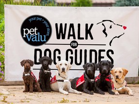 Sudbury residents and their four-legged friends will be leashing up soon for the Pet Valu Walk for Dog Guides on  May 28 at Delki Dozzi Sports Complex Track. (Photo supplied)