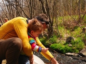 Trout release